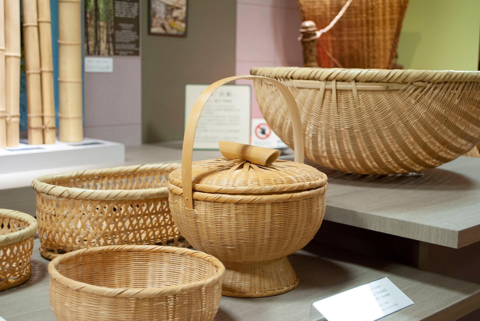 🏛️ 벳푸시 다케자이쿠 전통산업회관 이미지 6